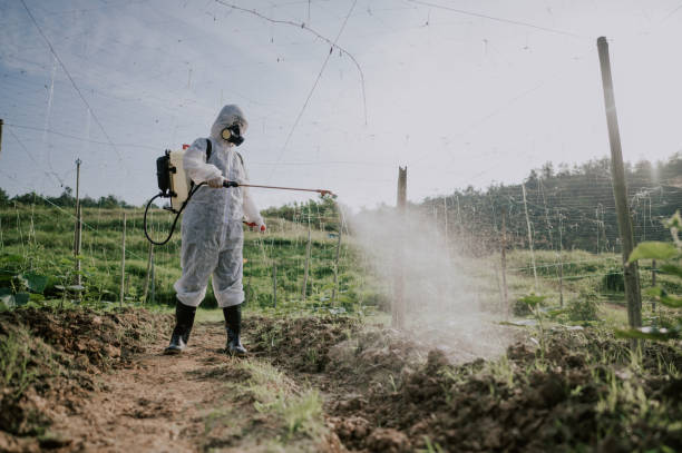 Best Best Pest Control Companies  in Meriden, CT