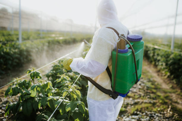 Professional Pest Control in Meriden, CT
